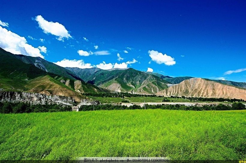 惠普打印機(jī)官網(wǎng)(惠普打印機(jī)官網(wǎng)網(wǎng)站)