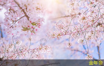 喜多力ci碼機(jī)的兼容性分析